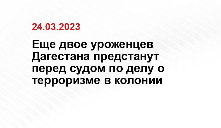 tgstat.ru