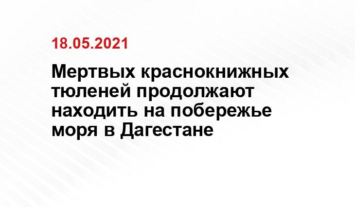 riadagestan.ru