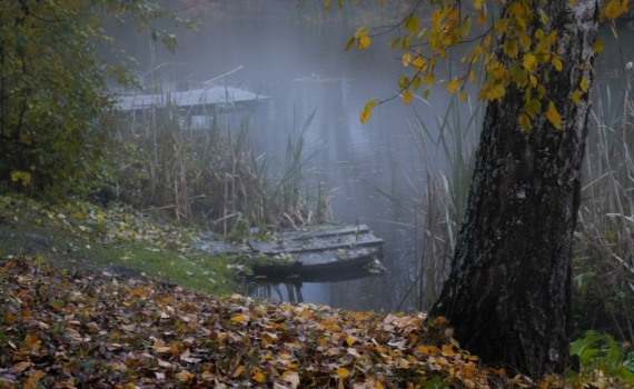 Отпустите контроль 02.11.2025 — и пусть любовь придет: 6 знаков китайского гороскопа встретят судьбу