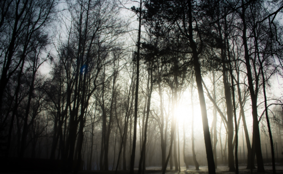 2 декабря 2025: что можно и нельзя делать в день, когда Овен дает смелость, а Рыбы — интуицию