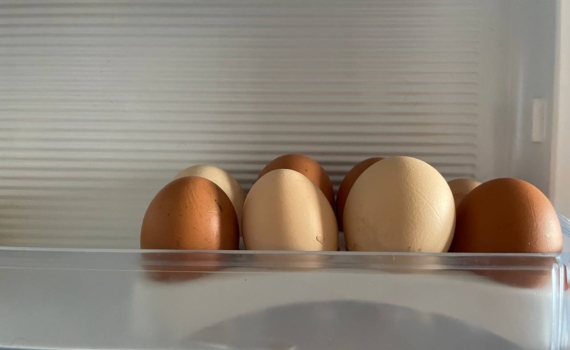 Мечтаете о пышном омлете? Эти 5 добавок творят чудеса — воздушность гарантирована