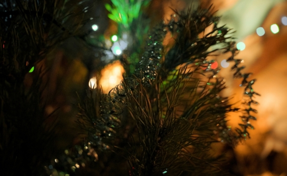 Всегда чистый и свежий дом: простой способ, чтобы всегда пахло приятно Всегда чистый и свежий дом: простой способ, чтобы всегда пахло приятно