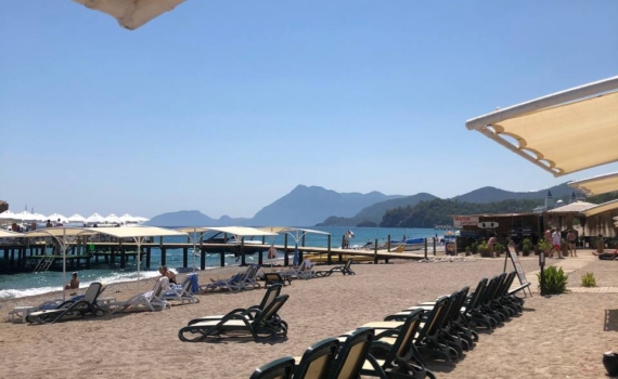 Отдых испорчен: гусеница с розовыми перьями атаковала россиянку в Паттайе — опасная неожиданность Отдых испорчен: гусеница с розовыми перьями атаковала россиянку в Паттайе — опасная неожиданность